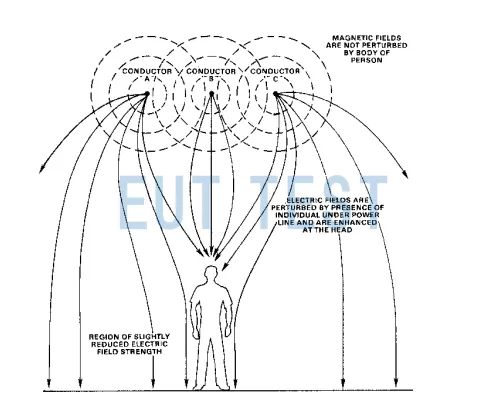 Demonstration diagram of the magnetic field of a three-phase cable on the human body